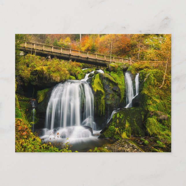 Cartão Postal Waterfalls | Triberg Waterfalls, Germany (Frente)