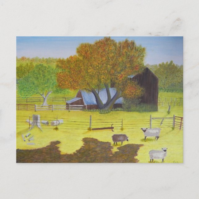 Cartão Postal Waterford Barn & Sheep (Frente)