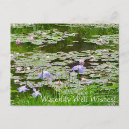 Cartão Postal Waterlily Bem Deseja!