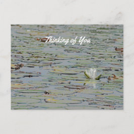 Cartão postal Waterlily Pond Lake Flower I