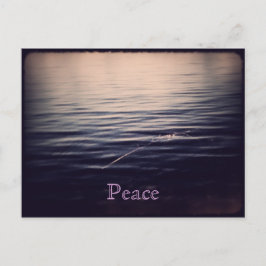 Cartão Postal WaterPeace 1 Postcard 1