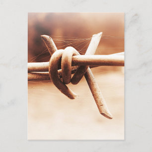 Cartão Postal Web Barbwire e aranha na Sepia