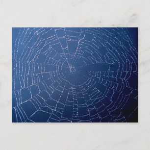 Cartão Postal Web Spider