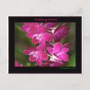 Cartão Postal Wedding um