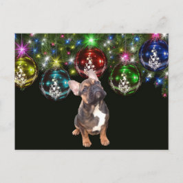 Cartão Postal Weihnachtskarte französische Bulldoggen Christmas