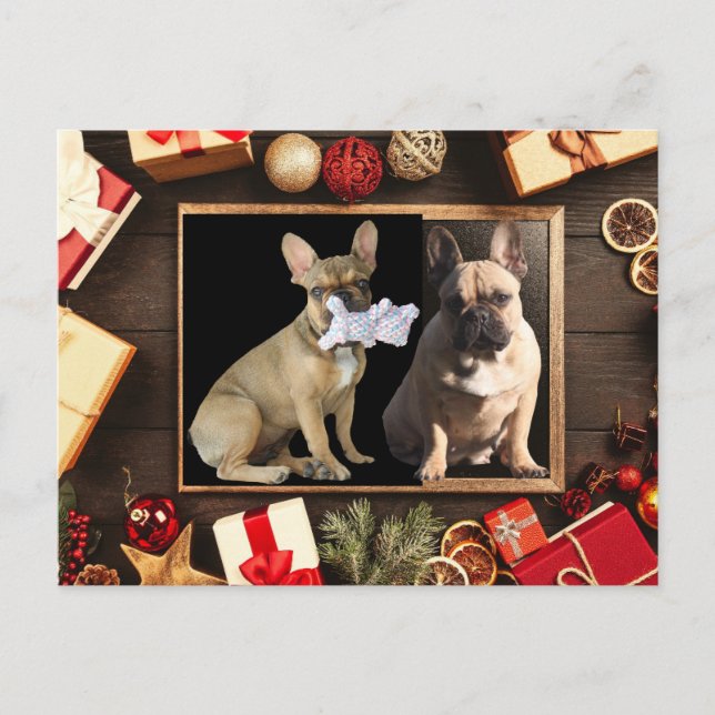 Cartão Postal Weihnachtskarte französische Bulldoggen Christmas (Frente)