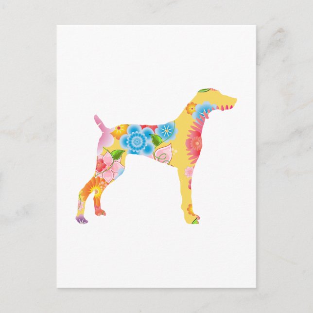 Cartão Postal Weimaraner (Frente)