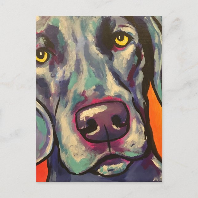 Cartão Postal weimaraner (Frente)