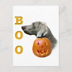 Cartão Postal Weimaraner Boo