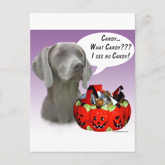 Cartão Postal Weimaraner Halloween Candy (Frente)
