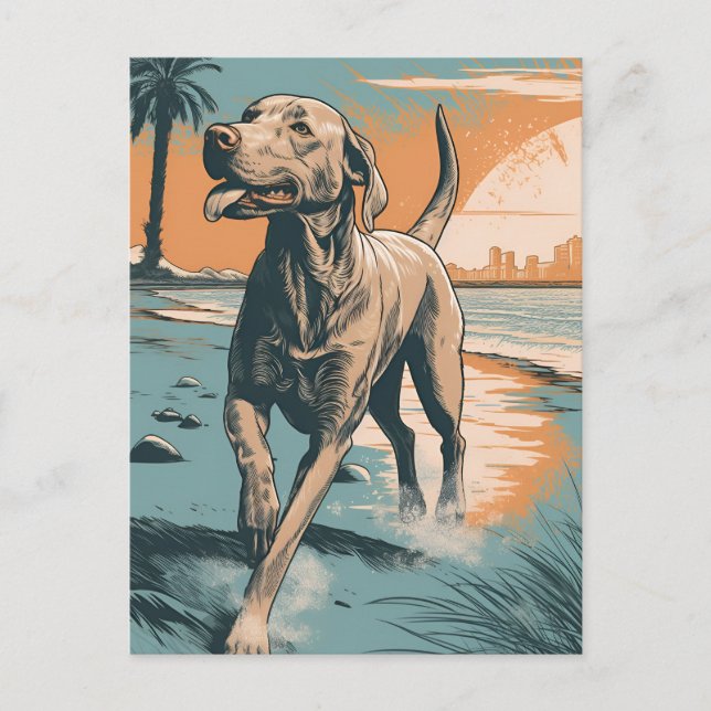 Cartão Postal Weimaraner na praia (Frente)