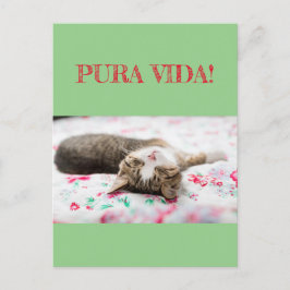 Cartão Postal Weisheiten&Humor PuraVida! Katze schläft auf grün
