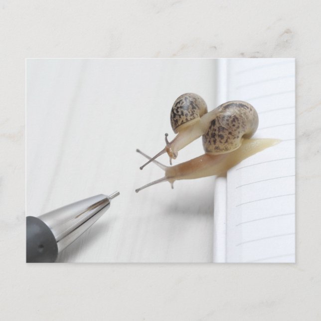 Cartão Postal We'll help you study (Frente)