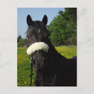 Cartão Postal Welsh Section D