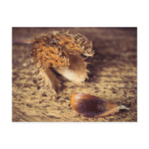 Wenin Samen zum Baum wird ...