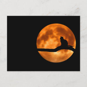 Cartão Postal Werecat cheio moon