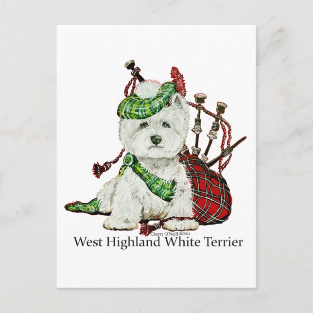Cartão Postal West Highland Terrier (Frente)