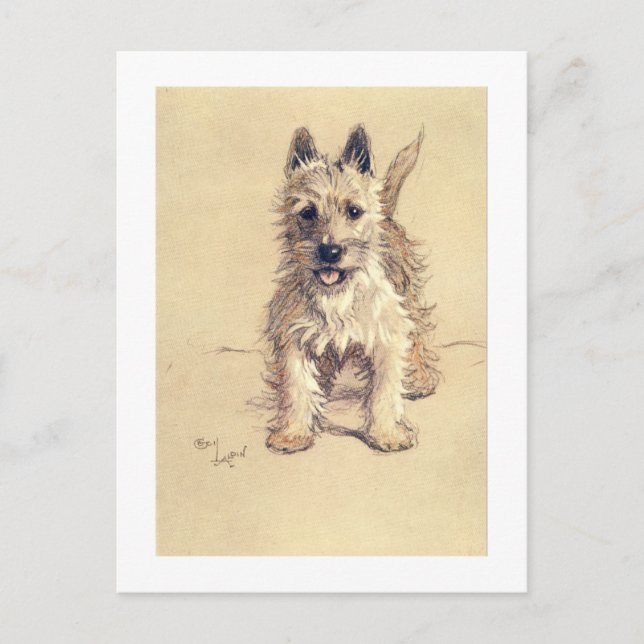 Cartão Postal West Highland White Terrier (Frente)