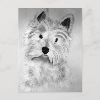 Cartão Postal West Highland White Terrier Postcard