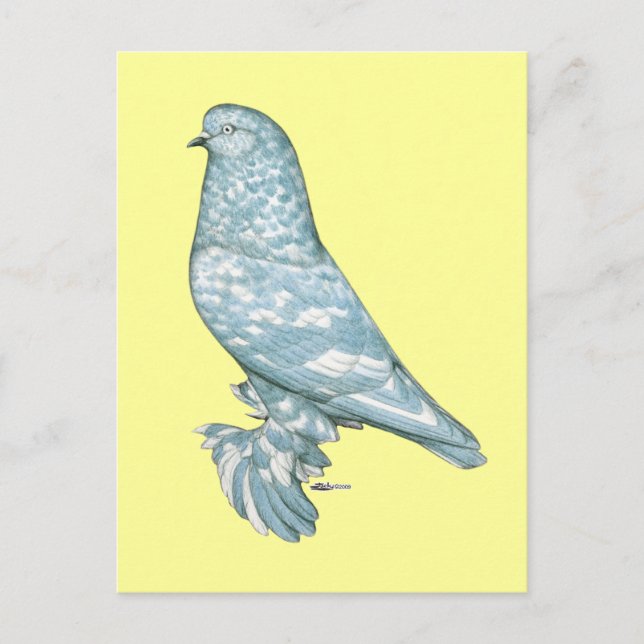 Cartão Postal West of England Tumbler:  Lavanda Mottle (Frente)