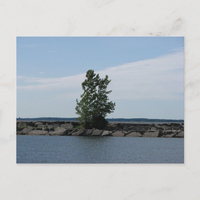 Cartão Postal Westcott Bay (Frente)