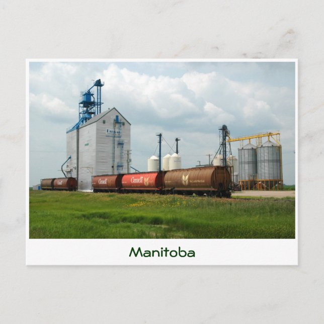 Cartão Postal Western Grain Elevator (Frente)