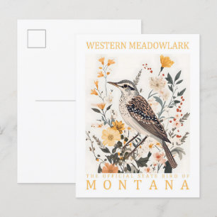 Cartão Postal Western Meadowlark Bird de Montana USA Viagem