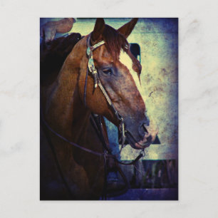 Cartão Postal Western Sorrel Grunge