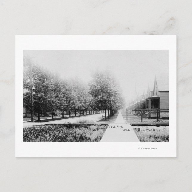 Cartão Postal Western View da Avenida Parnell (Frente)