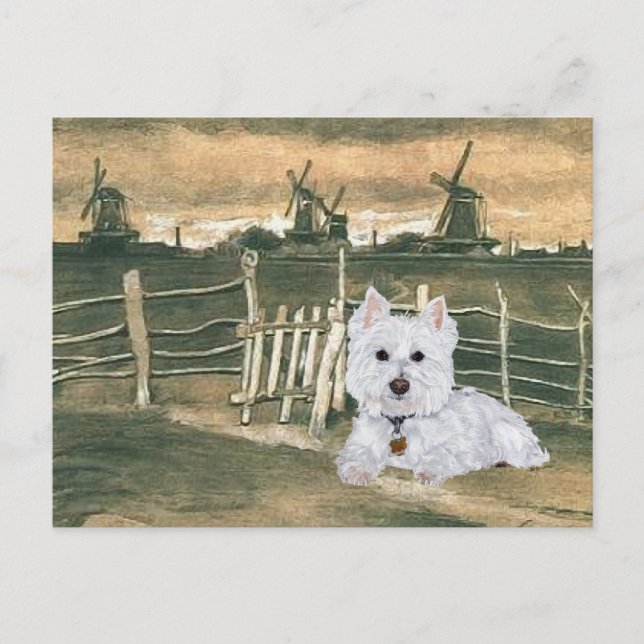 Cartão Postal Westie com Moinhos de Vento (Frente)