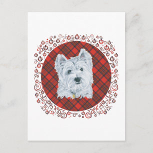 Cartão Postal Westie em Tartan