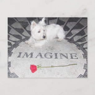 Cartão Postal Westie Imagine a paz mundial