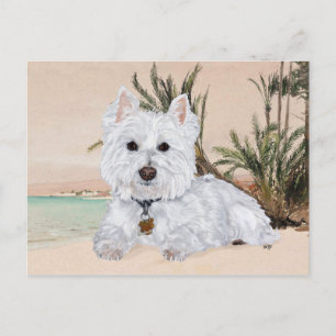 Cartão Postal Westie na Praia