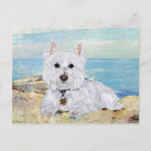 Cartão Postal Westie na Praia