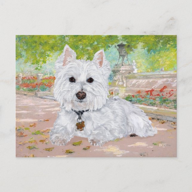 Cartão Postal Westie no Parque (Frente)