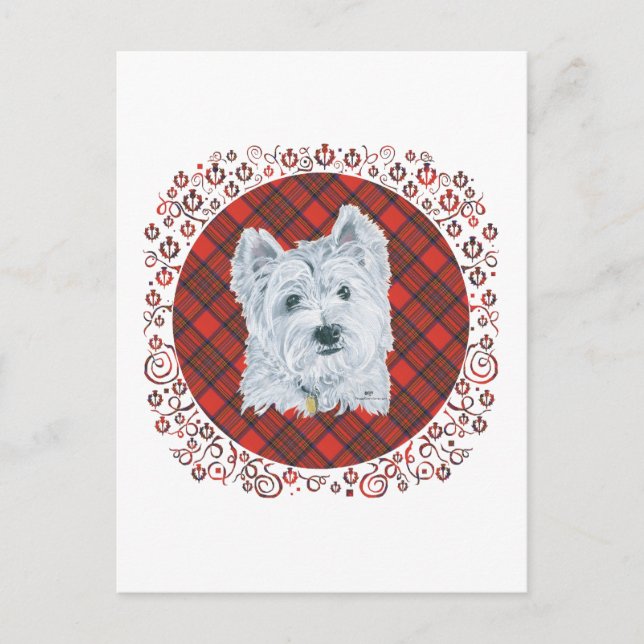 Cartão Postal Westie no Tartan (Frente)