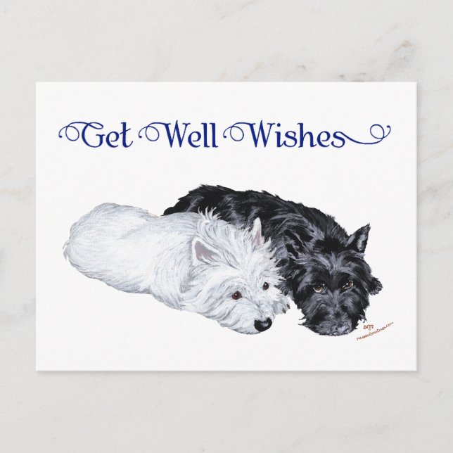 Cartão Postal Westie & Scottie à Vontade (Frente)