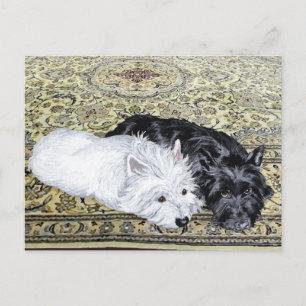 Cartão Postal Westie & Scottie em Ease