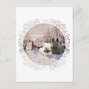 Cartão Postal Westie & Scottie Inverno Pega