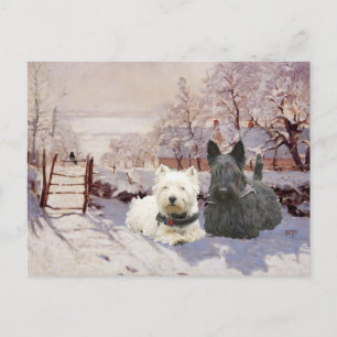 Cartão Postal Westie & Scottie Magia de Inverno