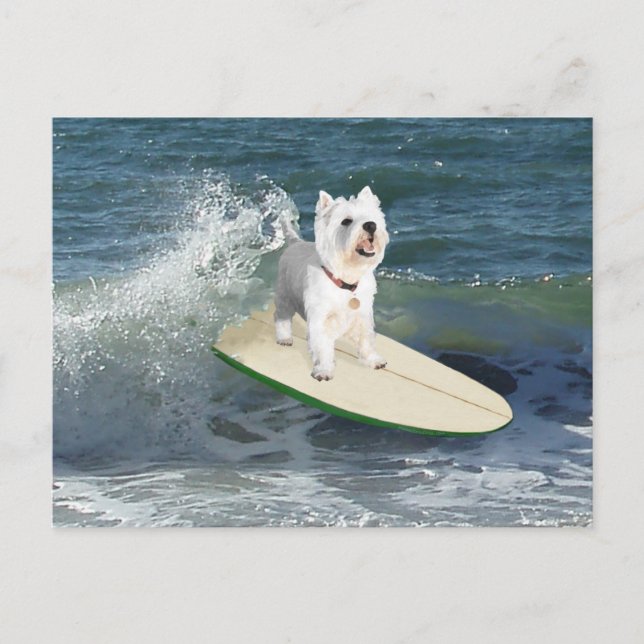 Cartão Postal Westie Surfista (Frente)