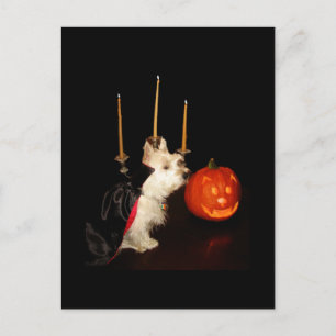 Cartão Postal Westie Vampire Dracula