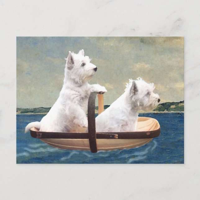 Cartão Postal Westies Levam Âncora (Frente)