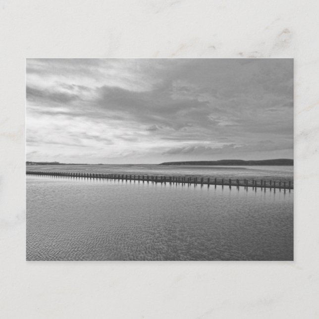 Cartão Postal Weston-super-Mare preto e branco (Frente)