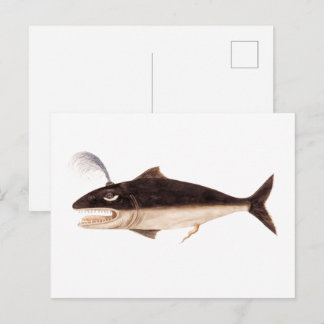 Cartão Postal Whale, Cetus (1596-1610)