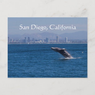 Cartão Postal Whale e San Diego Skyline