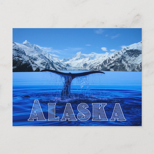 Cartão Postal Whale Tail Alaska - Cartão-postal (Frente)
