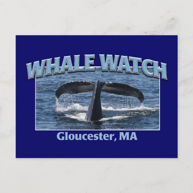 Cartão Postal Whale Watch (Frente)