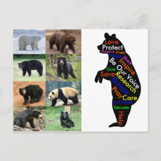 Cartão Postal What can you do to help?