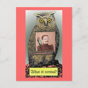 Cartão Postal "What is  normal?" Postcard
